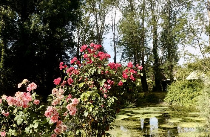 Vente Domaine 11 pièces — photo 4