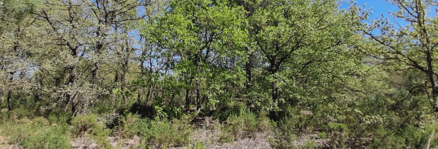 Terrain  4915 m² à vendre à Canet-en-Roussillon (66140)