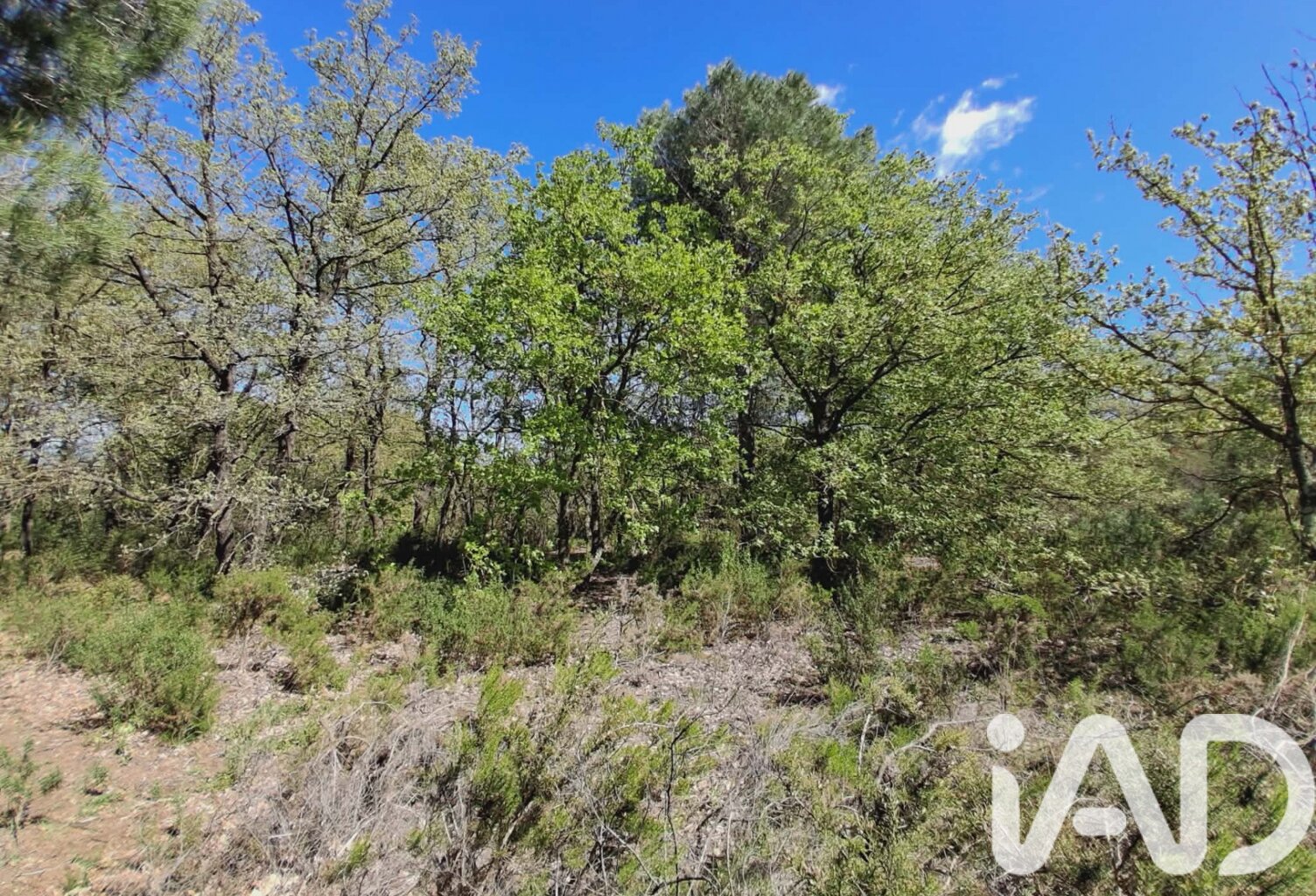 Vente Terrain 4 915 m&sup2; — photo 1