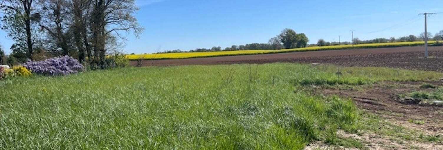 Terrain  868 m² à vendre à Nieul-lès-Saintes (17810)