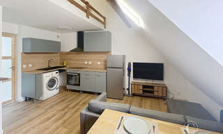 Appartement 1 Pièce 27 m² à louer à Thann (68800)