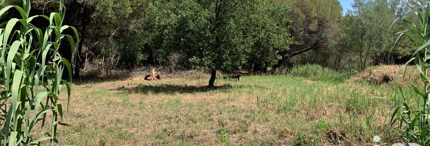 Terrain  559 m² à vendre à Fréjus (83600)