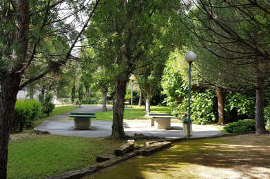 Appartement 2 pièces 700 €