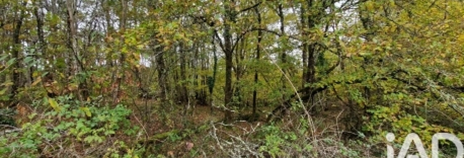 Terrain  91662 m² à vendre à Bourgnac (24400)