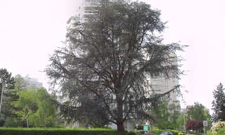 Garage  62 m² à vendre à Marly-le-Roi (78160)