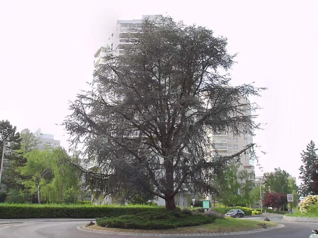 Lot de 3 parkings boxables en sous-sol à Marly-le-Roi — photo du bien
