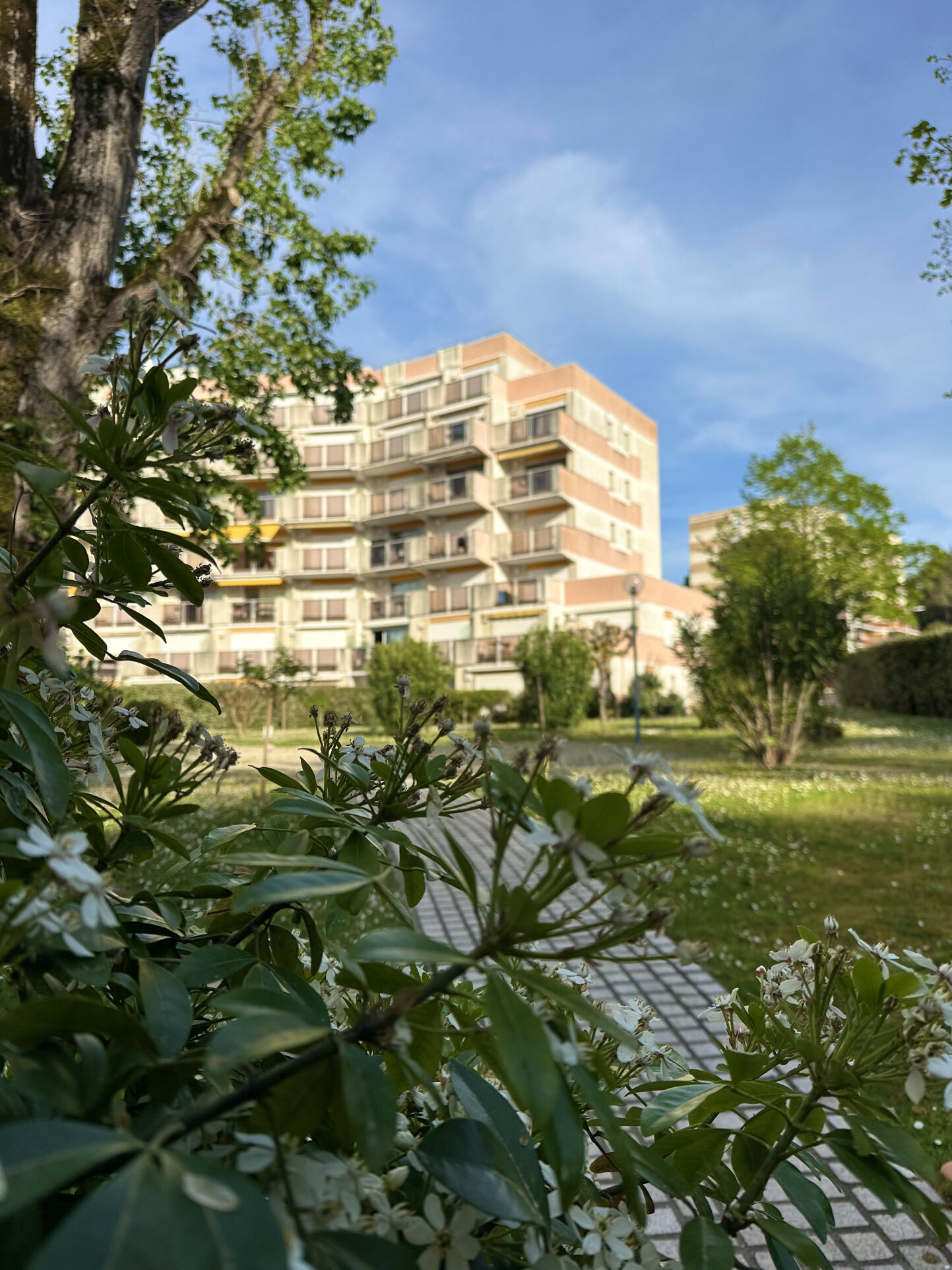 Appartement 5 pièces  à louer Vaux-sur-Mer 17640