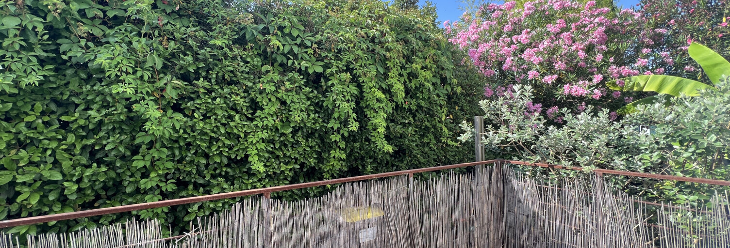 Appartement 1 Pièce 24 m² à louer à Montpellier (34070)