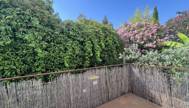 Appartement 1 pièces  à louer Montpellier 34070