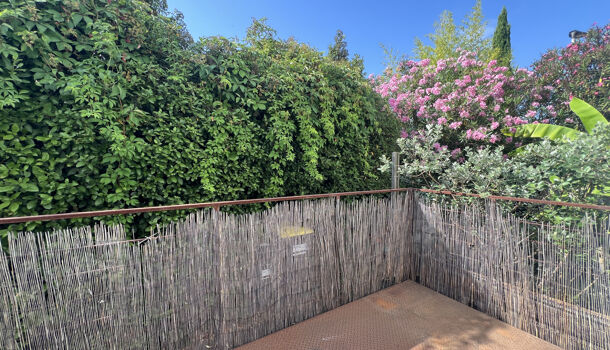 Appartement 1 pièces  à louer Montpellier 34070