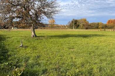 Terrain  39000 €