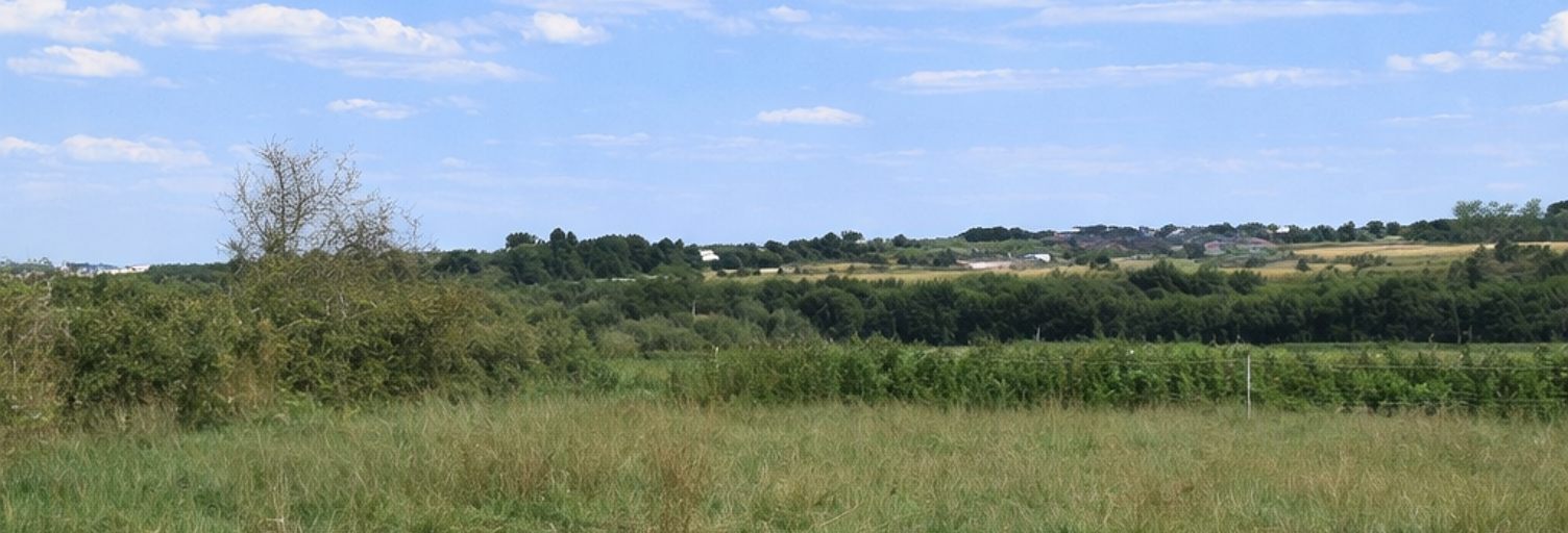 Terrain  437 m² à vendre à Plouguerneau (29880)