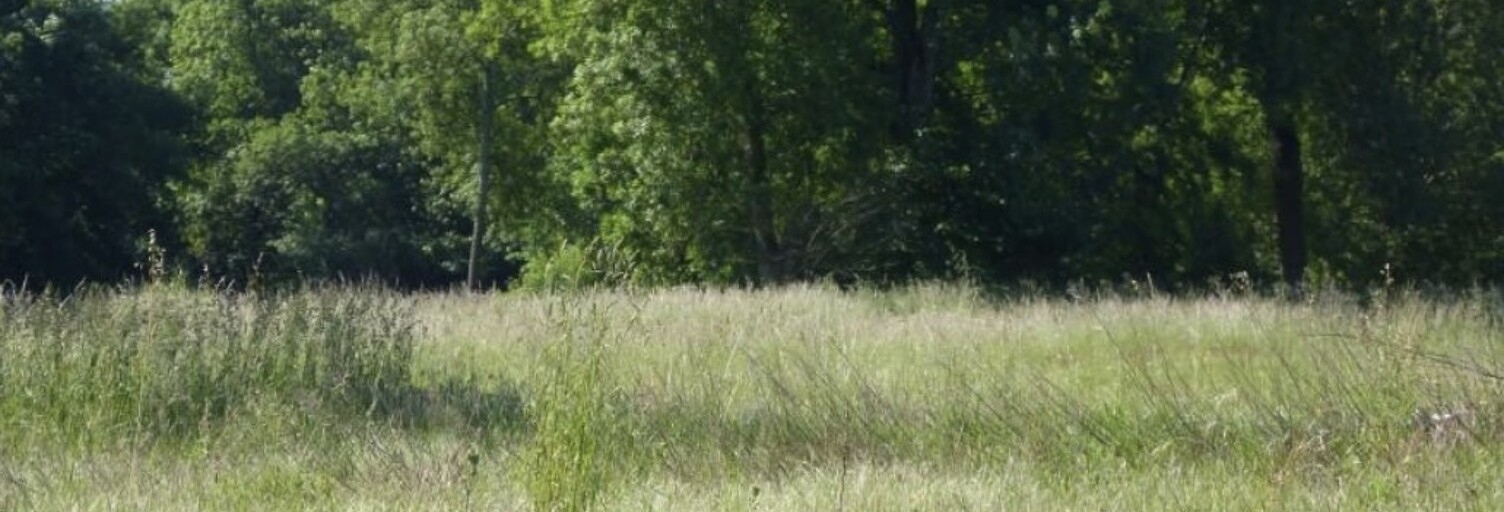 Terrain  815 m² à vendre à Villevaudé (77410)