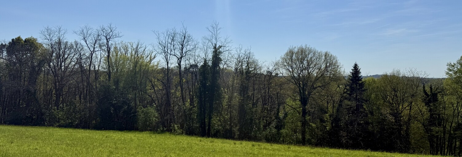 Terrain  5378 m² à vendre à Saint-André-d'Allas (24200)