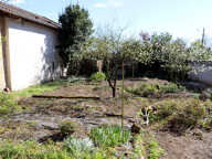 Jolie maison en pierre de taille au cœur de Saint-Julien sur Reyssouze — photo 2
