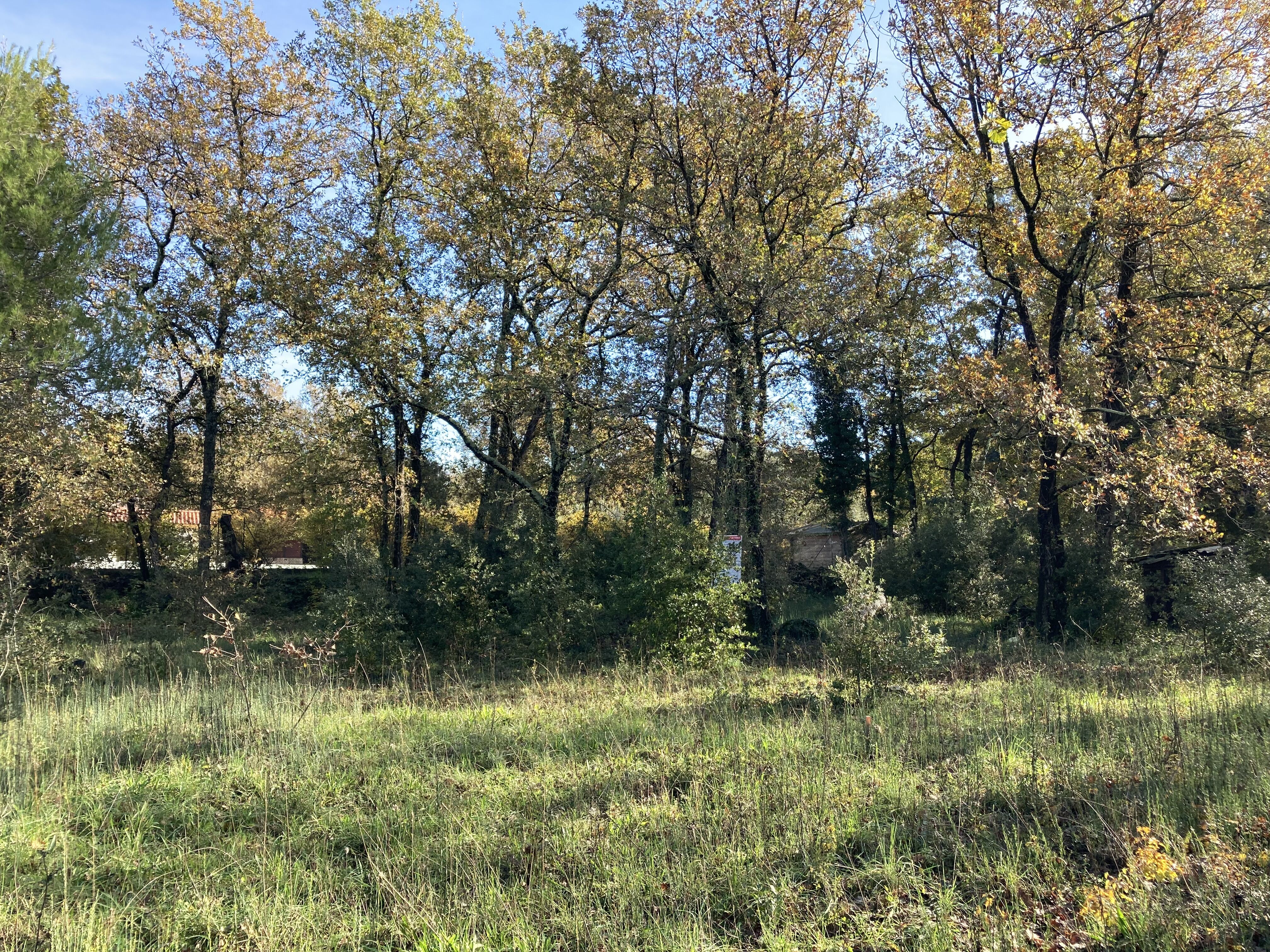 Terrain  à vendre Néoules 83136