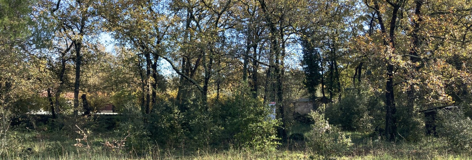 Terrain 1000 m² à construire Néoules (83136)