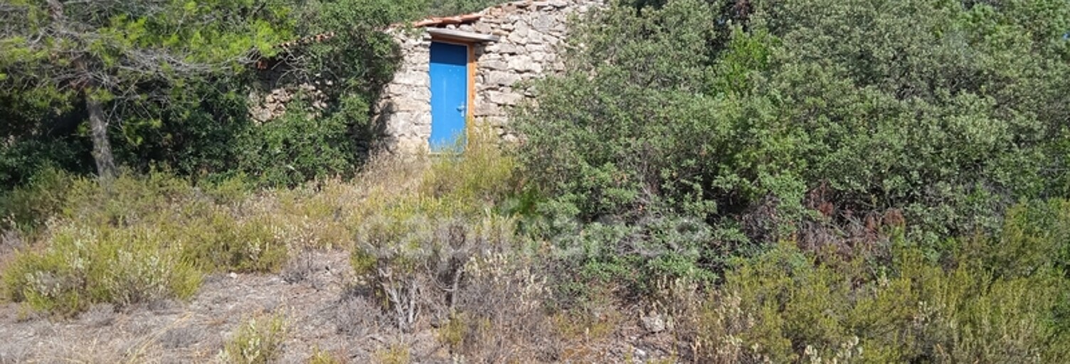 Terrain  30000 m² à vendre à Aigne (34210)