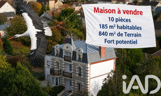 Photo N° 2