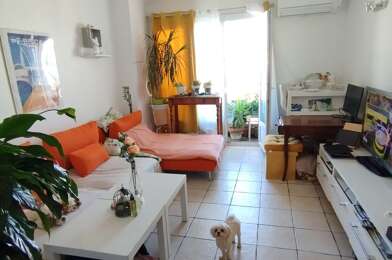 Appartement 3 pièces 480 €