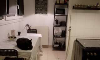 Appartement 1 Pièce 12 m² à louer à Bagneux (92220)