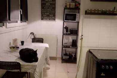Appartement 1 pièces 590 €