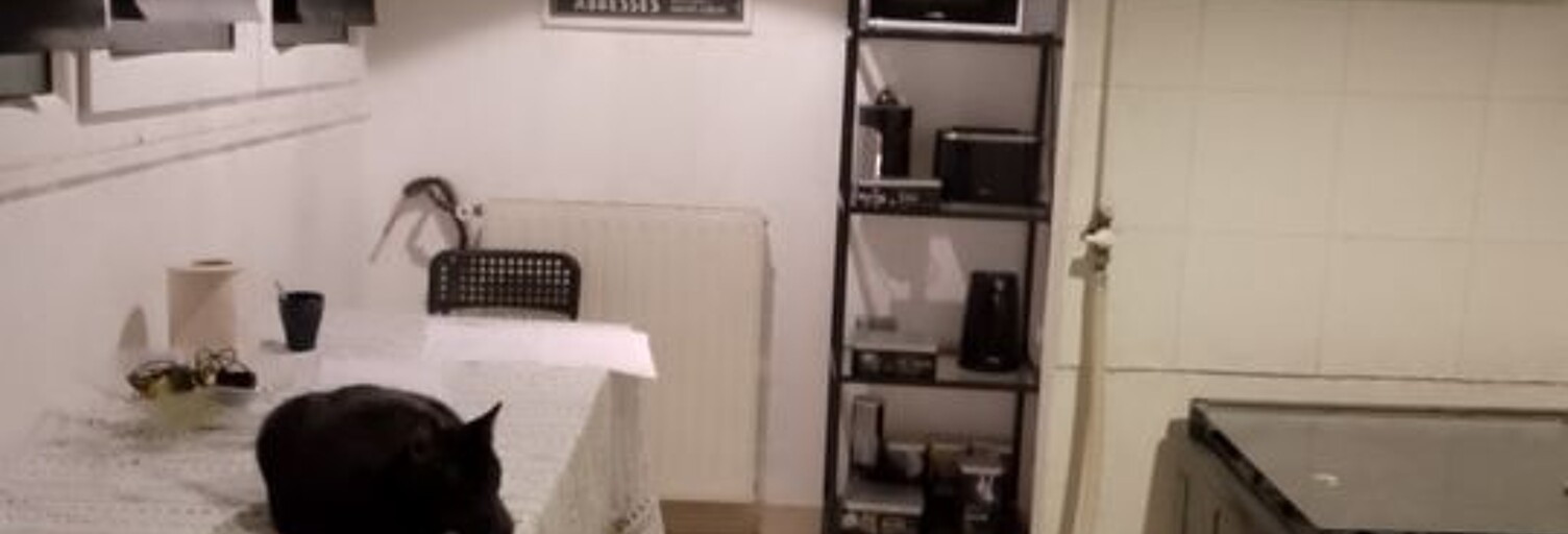 Appartement 1 Pièce 12 m² à louer à Bagneux (92220)