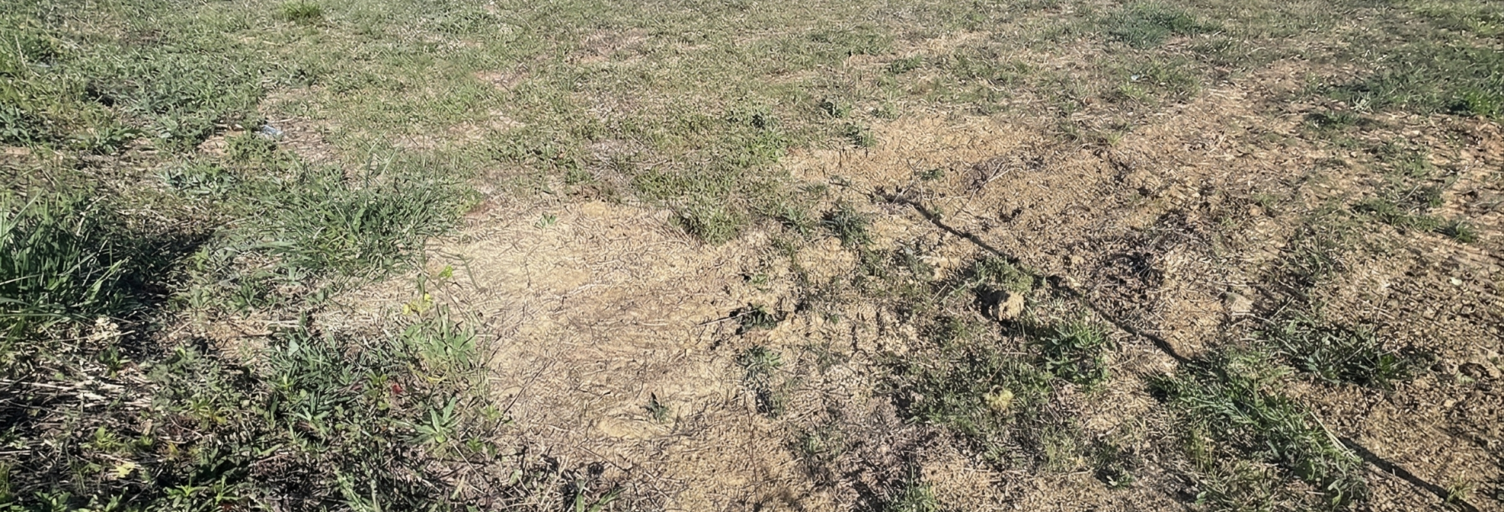 Terrain  501 m² à vendre à Bouloc (31620)