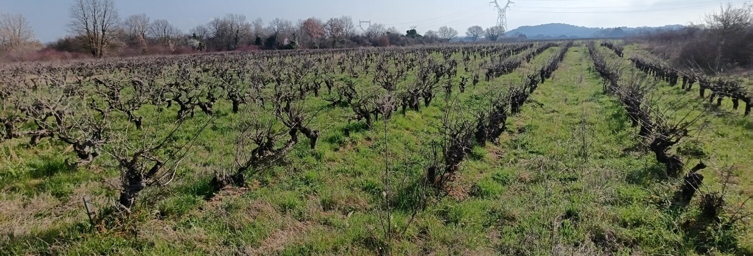 Terrain  4393 m² à vendre à Saint-Julien-de-Peyrolas (30760)