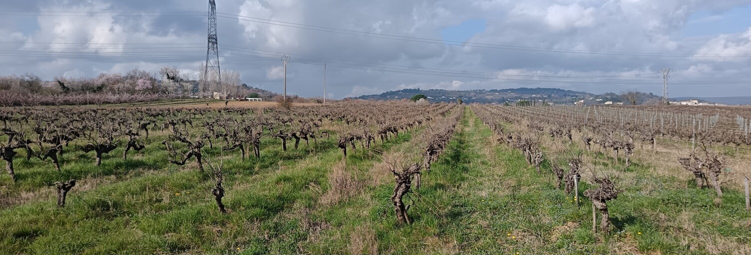 Terrain  3401 m² à vendre à Saint-Paulet-de-Caisson (30130)