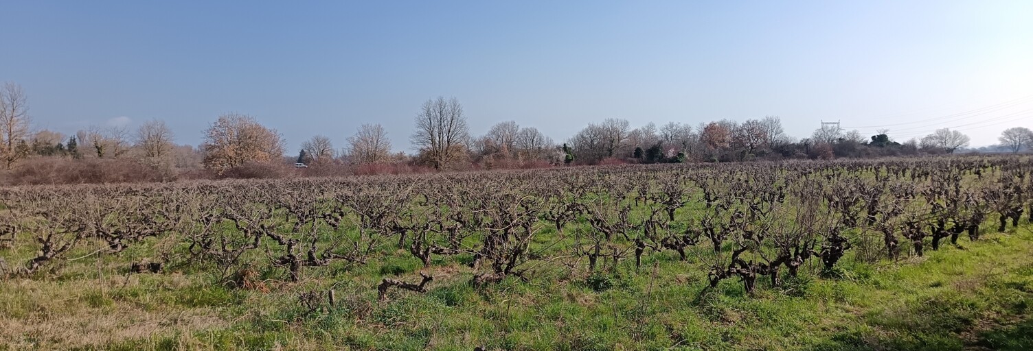 Terrain  14040 m² à vendre à Saint-Julien-de-Peyrolas (30760)