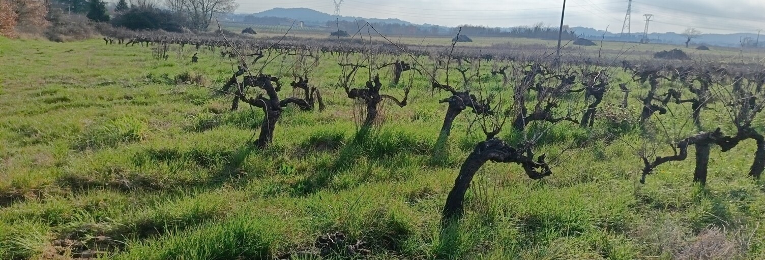 Terrain  8197 m² à vendre à Saint-Julien-de-Peyrolas (30760)