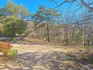 A VENDRE Villa de plain-pied avec beau terrain et fort potentiel — photo 3