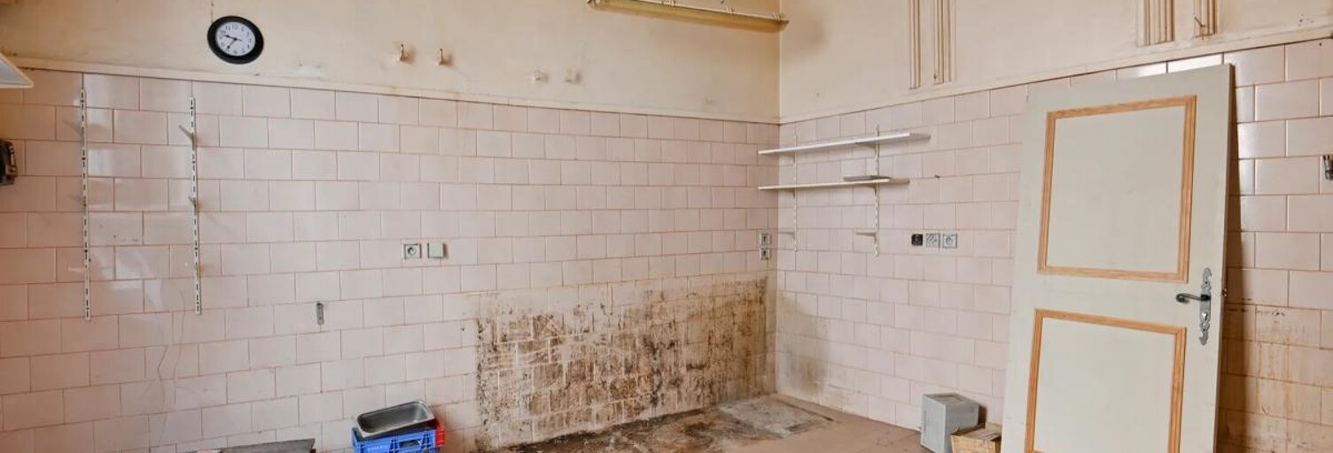 Maison 11 Pièces 260 m² à vendre à Bollène (84500)