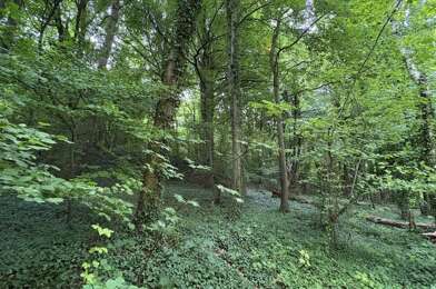 Terrain  36500 €