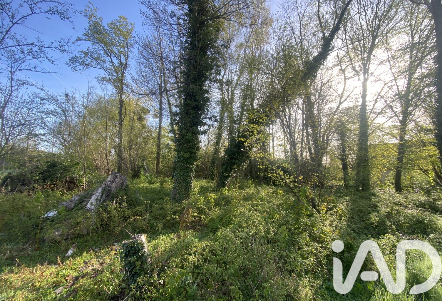 Vente Terrain à bâtir 1 226 m&sup2; — photo 1