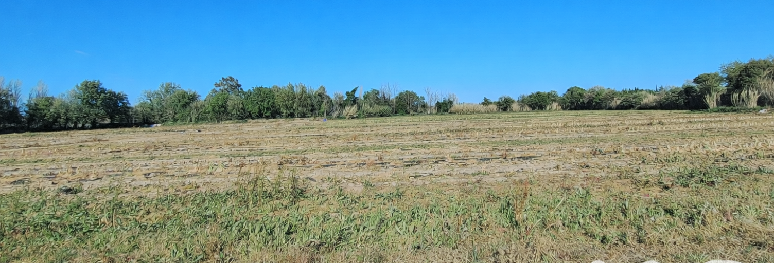 Terrain  44312 m² à vendre à Pézilla-la-Rivière (66370)