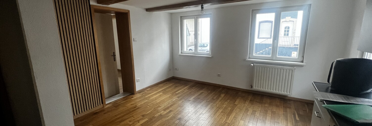 Appartement 2 Pièces 30 m² à louer à Dannemarie (68210)