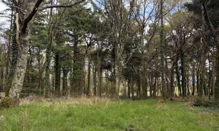 Terrain  43500 m² à vendre à Plouhinec (56680)