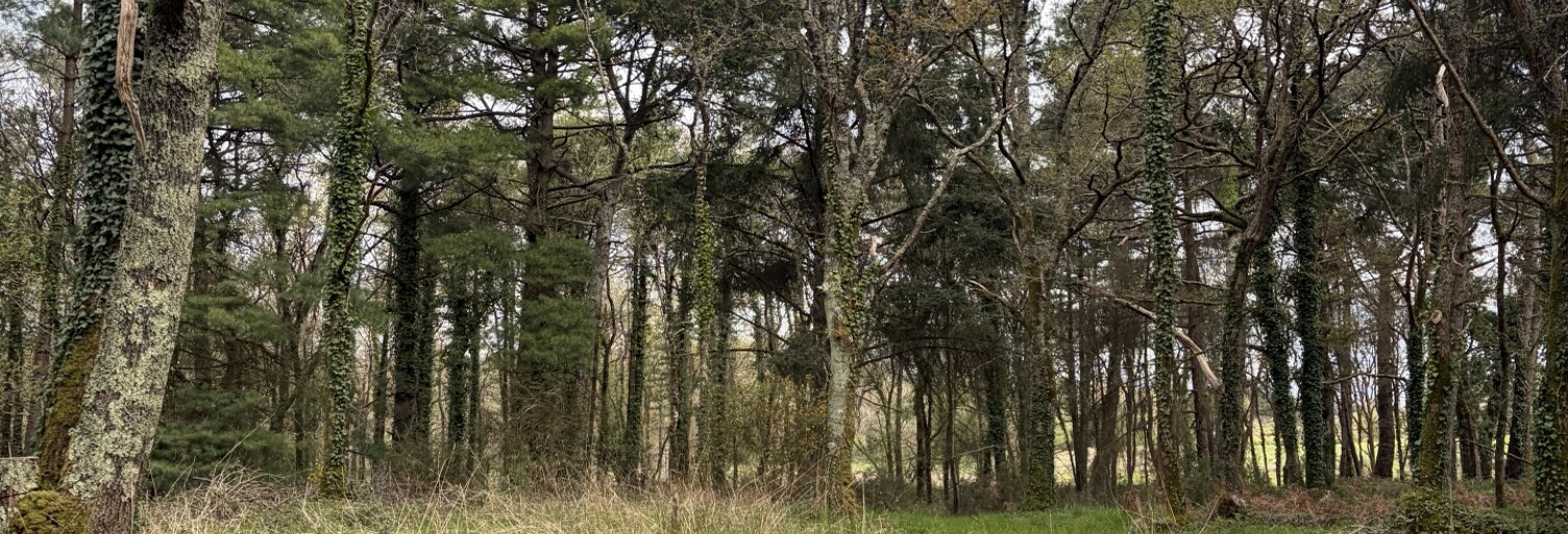 Terrain  43500 m² à vendre à Plouhinec (56680)