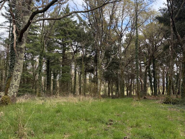 Vente Terrain agricole 43 500 m&sup2; — photo 1