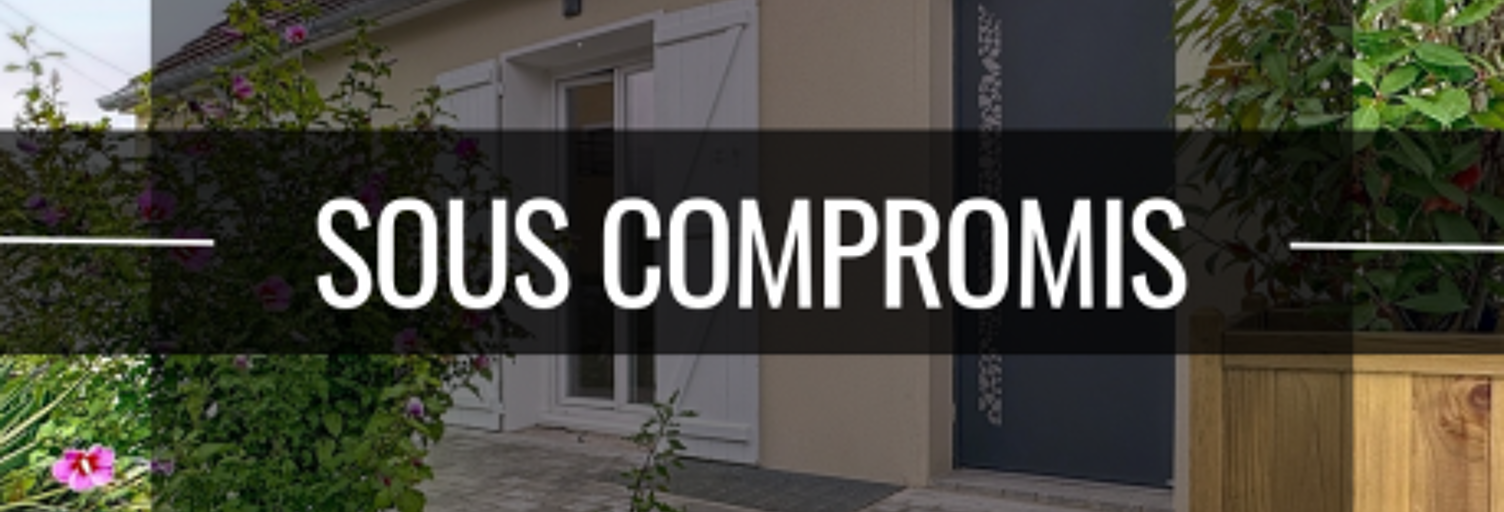 Maison 9 Pièces 181 m² à vendre à Montmagny (95360)