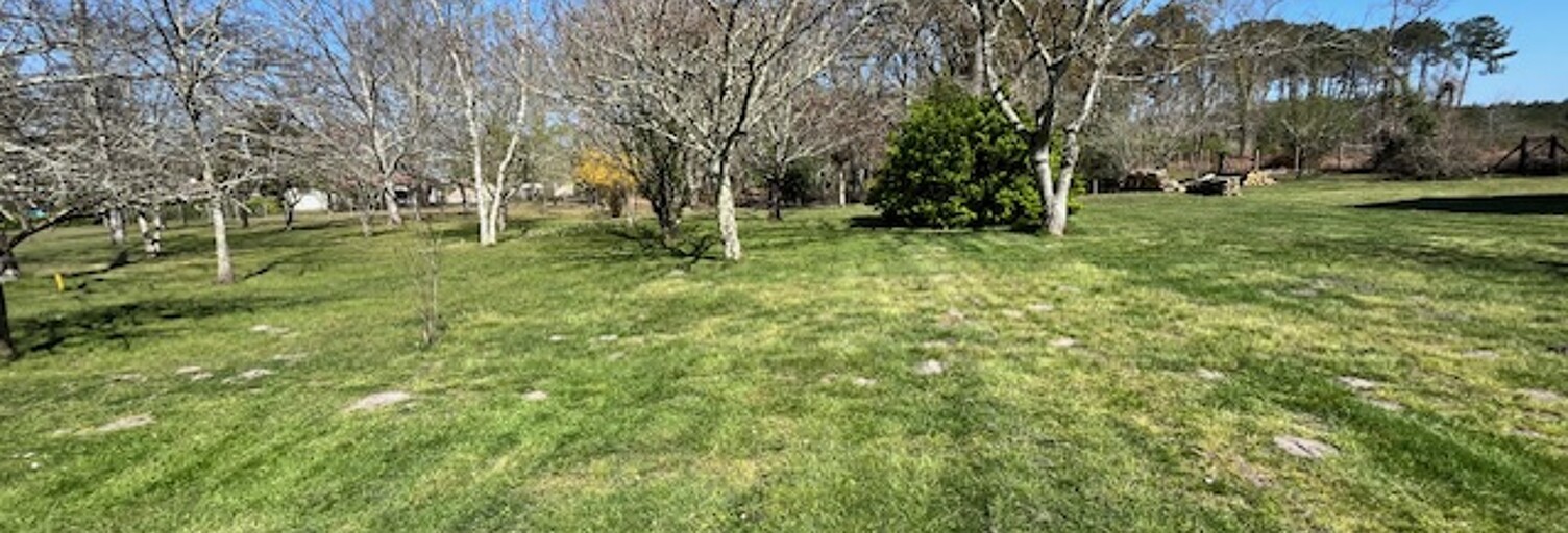 Maison 80 m² à construire Le Teich (33470)