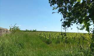 Terrain 432 m² à construire Margaux-Cantenac (33460)