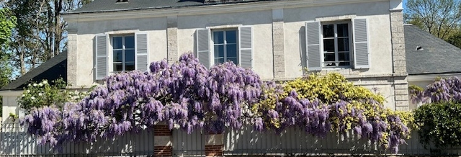 Maison 11 Pièces 313 m² à vendre à Olivet (45160)