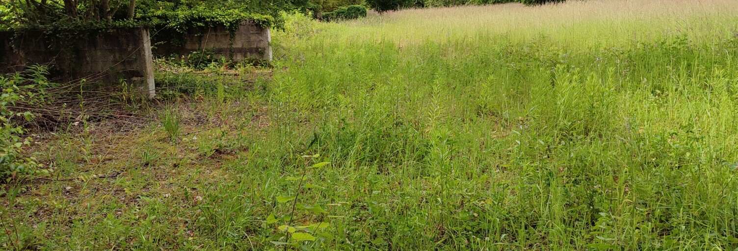 Terrain  1105 m² à vendre à Montigny-sur-Loing (77690)