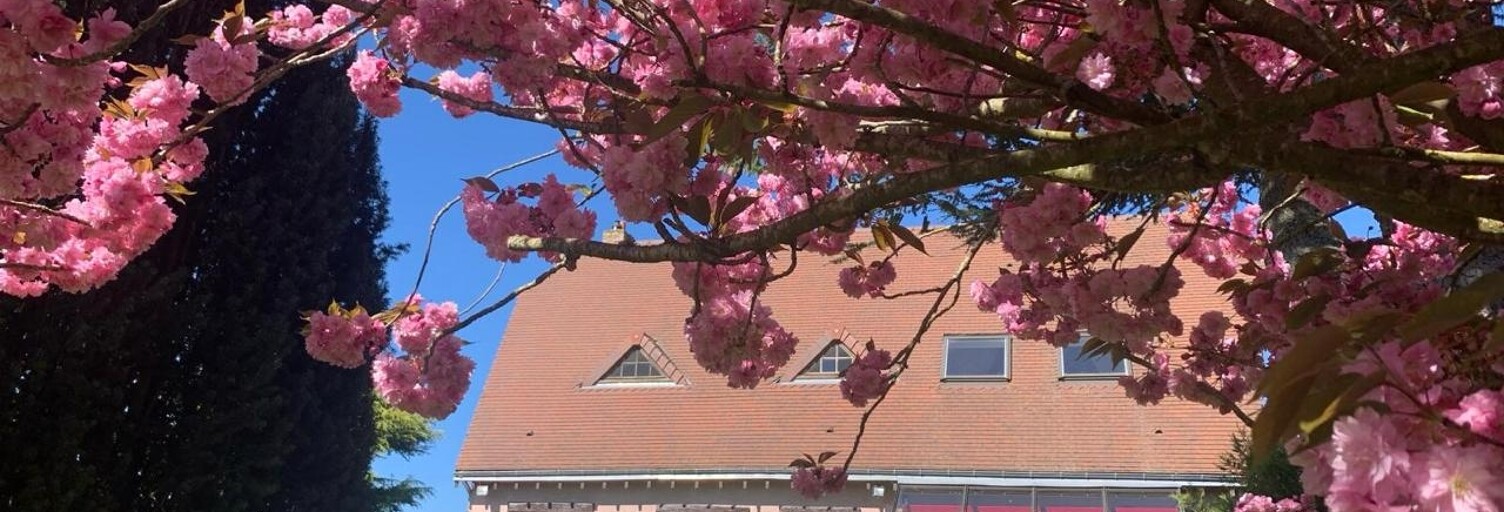 Maison 6 Pièces 170 m² à vendre à Poisvilliers (28300)