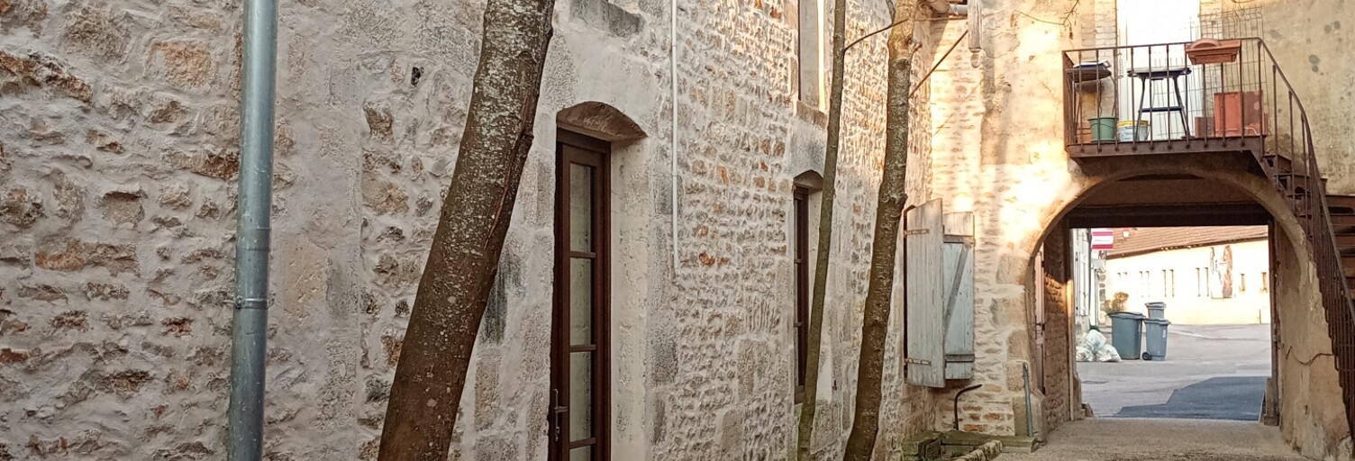 Maison 6 Pièces 158 m² à vendre à Andelot-Blancheville (52700)