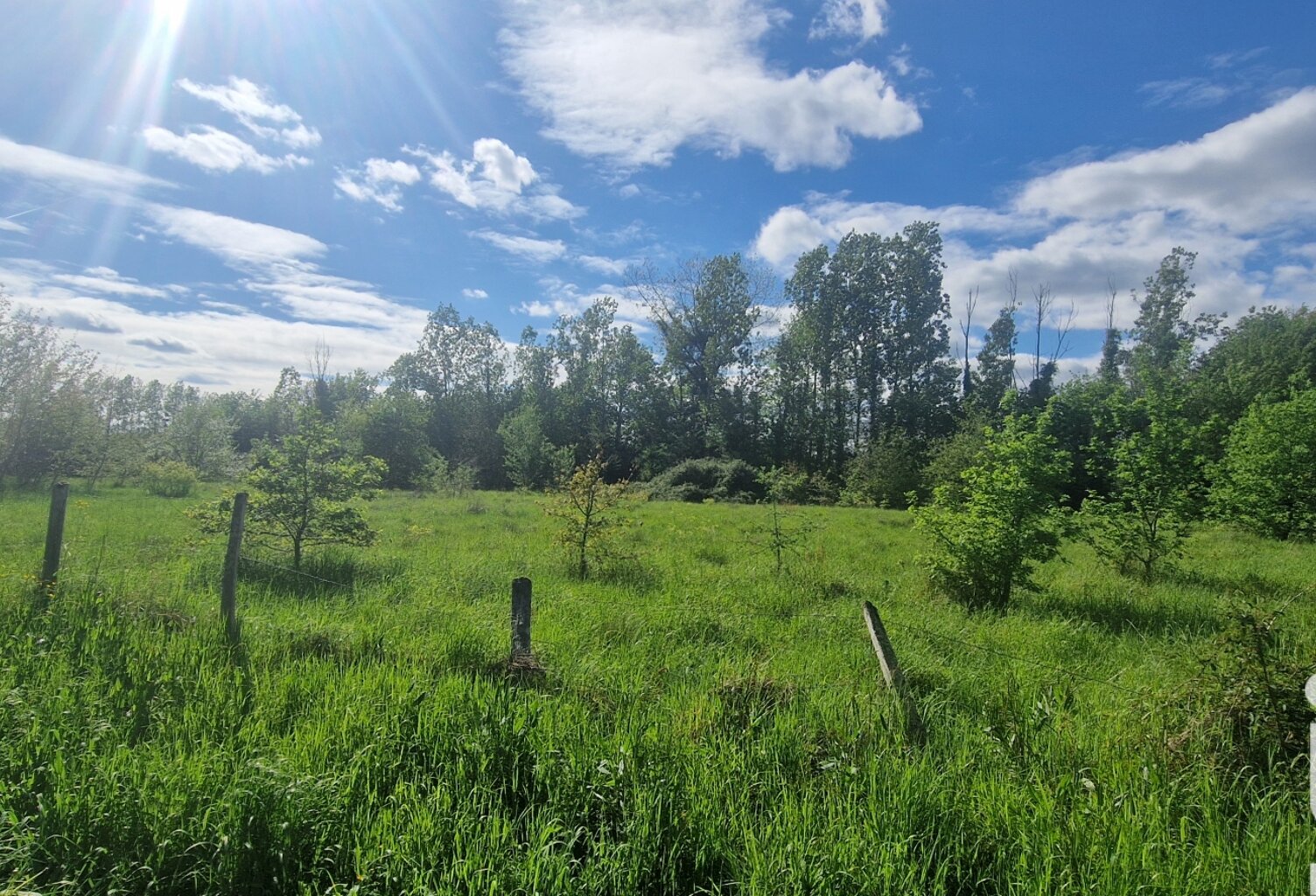 Vente Terrain à bâtir 3 977 m&sup2; — photo 1