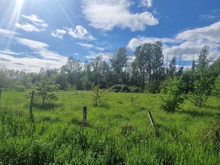 Vente Terrain à bâtir 3 977 m&sup2; — photo 1